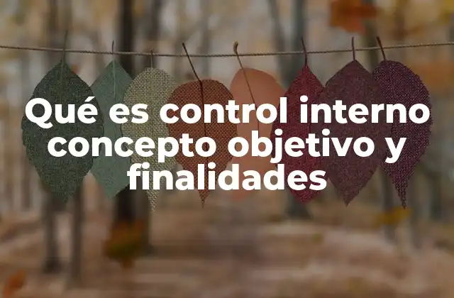 Qué es Control Interno Concepto Objetivo y Finalidades