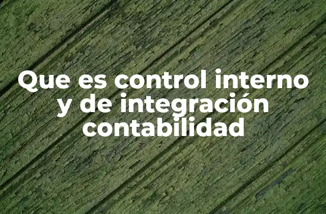 Que es Control Interno y de Integración Contabilidad 2 Sistemas que garantizan la transparencia y la eficiencia financiera
