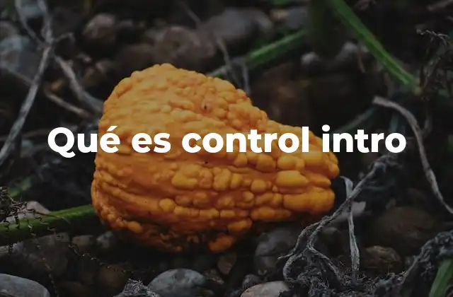 Qué es Control Intro