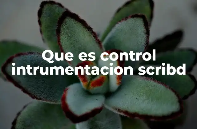 Que es Control Intrumentacion Scribd