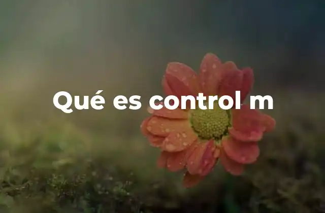 Qué es Control M