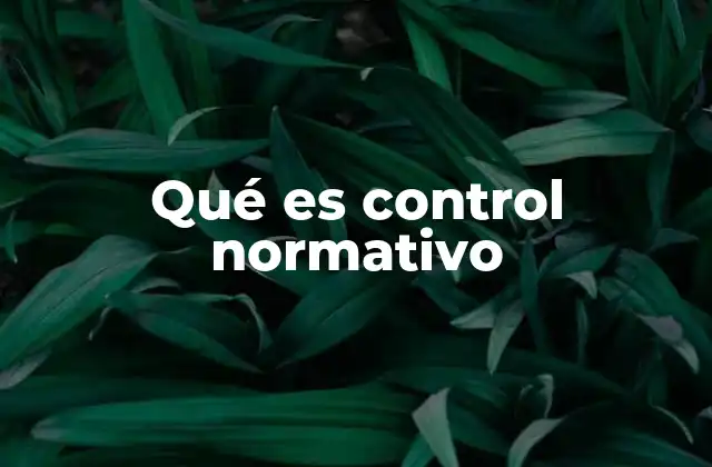 Qué es Control Normativo