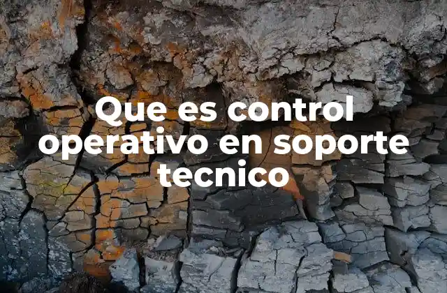 Que es Control Operativo en Soporte Tecnico