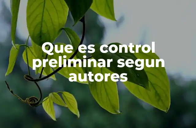 Que es Control Preliminar Segun Autores