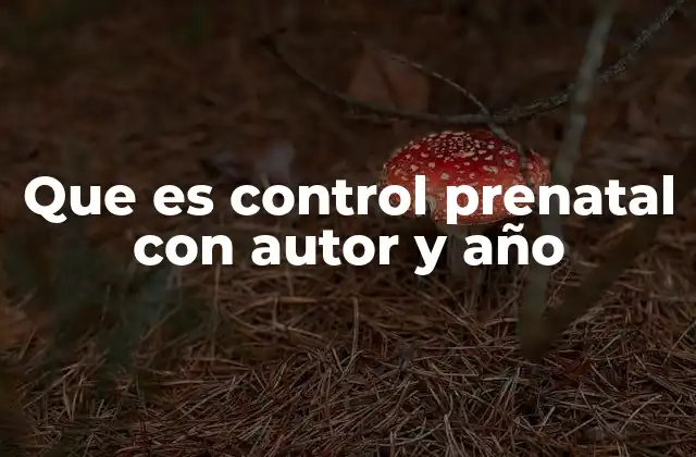 Que es Control Prenatal con Autor y Año
