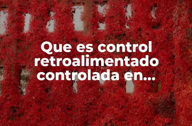 Que es Control Retroalimentado Controlada en Instrumentacion