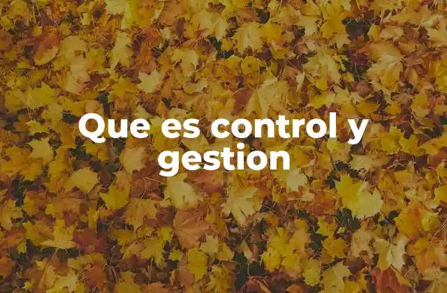 Que es Control y Gestion