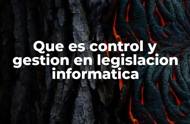 Que es Control y Gestion en Legislacion Informatica