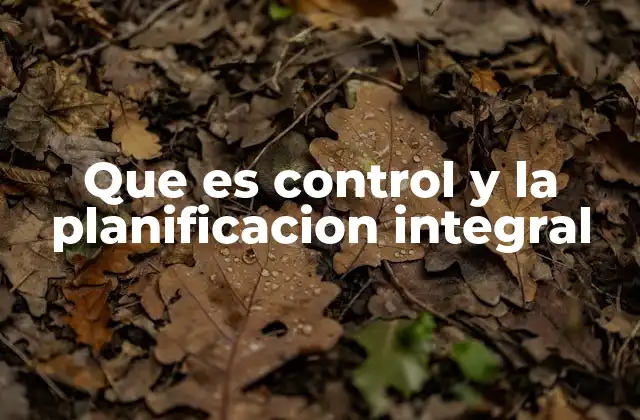 Que es Control y la Planificacion Integral
