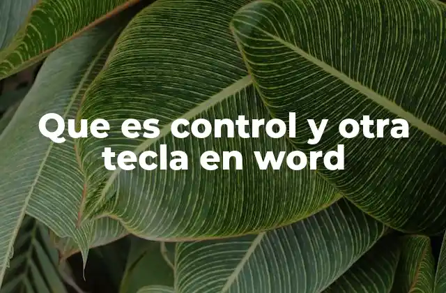 Que es Control y Otra Tecla en Word