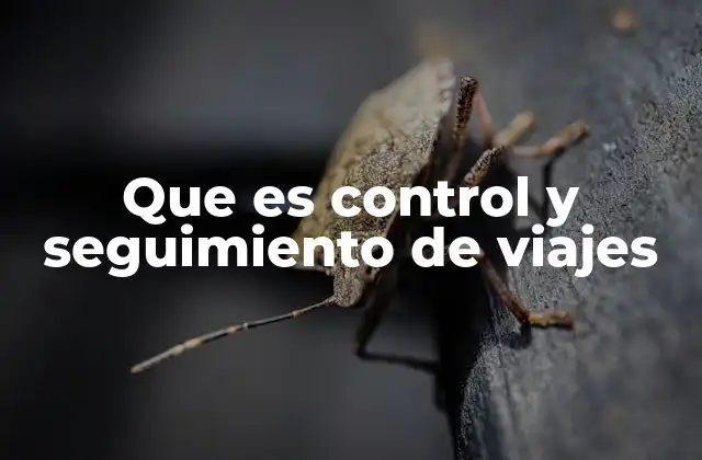 Que es Control y Seguimiento de Viajes