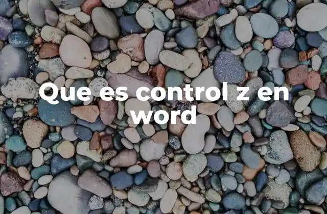 Que es Control Z en Word