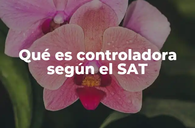 La importancia del control efectivo en el marco legal