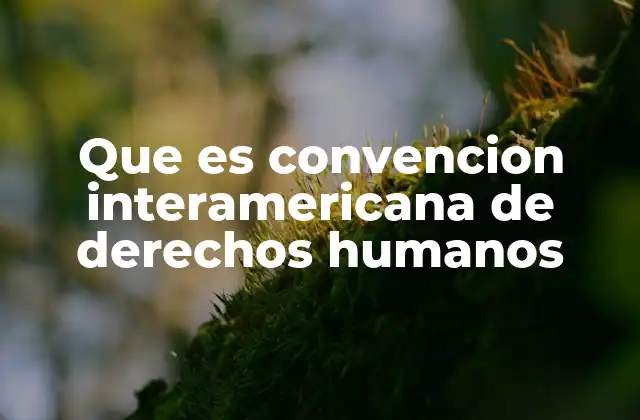 Que es Convencion Interamericana de Derechos Humanos