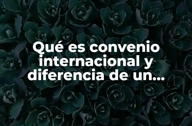 Diferencias entre acuerdos internacionales