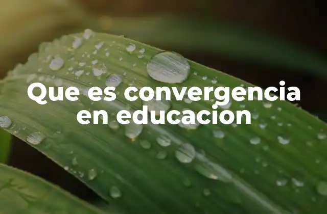 Que es Convergencia en Educacion 2 La integración de recursos y metodologías en el aula