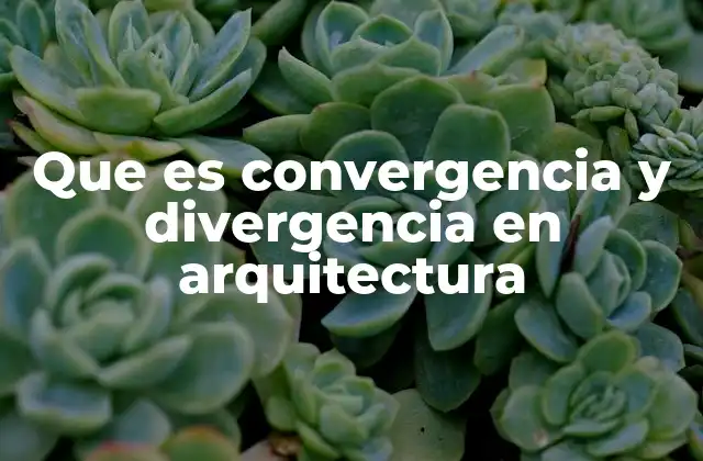Que es Convergencia y Divergencia en Arquitectura