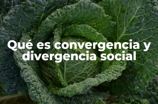 Cómo se manifiesta la convergencia y divergencia en la vida cotidiana