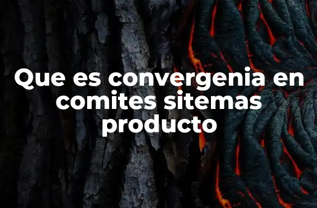 Que es Convergenia en Comites Sitemas Producto
