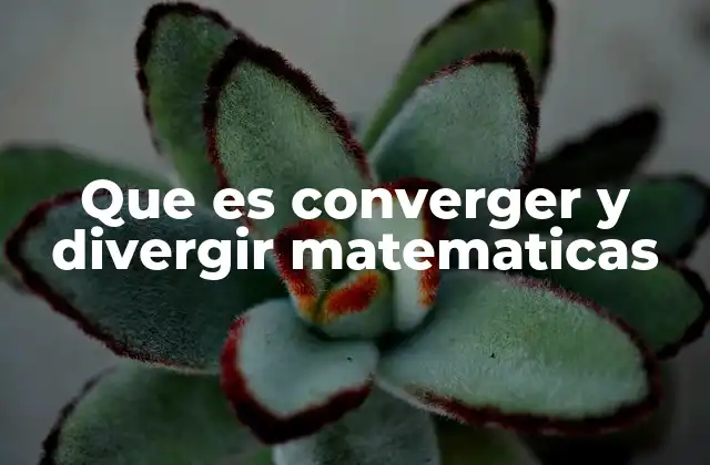 Que es Converger y Divergir Matematicas