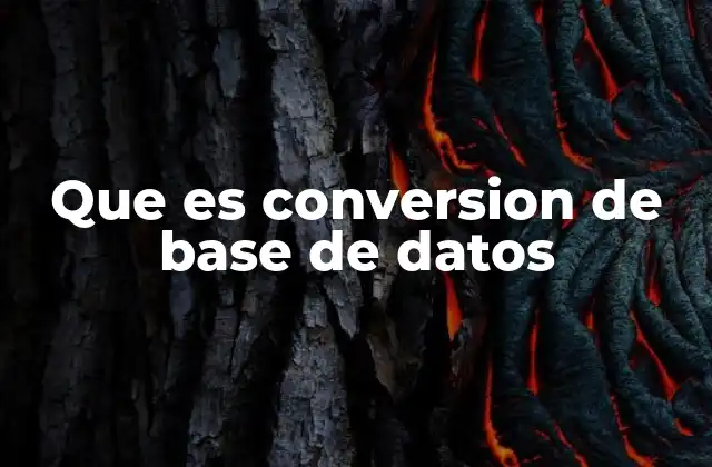 Que es Conversion de Base de Datos