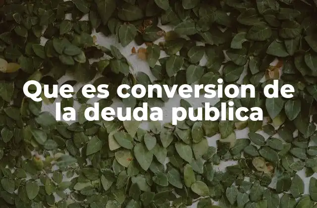 Que es Conversion de la Deuda Publica