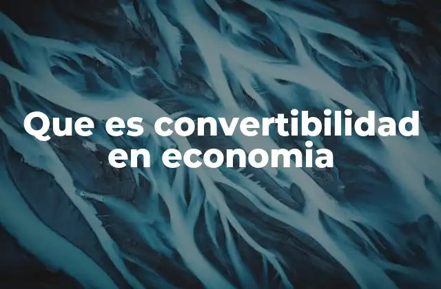 Que es Convertibilidad en Economia