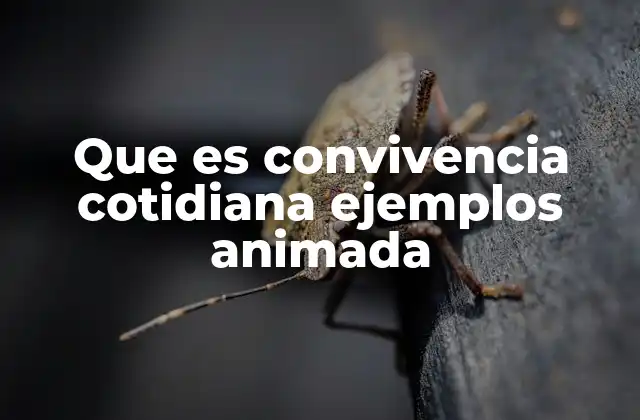 Que es Convivencia Cotidiana Ejemplos Animada