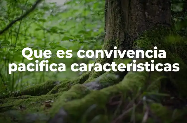 La importancia de la convivencia armónica en la sociedad