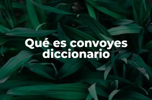 Qué es Convoyes Diccionario