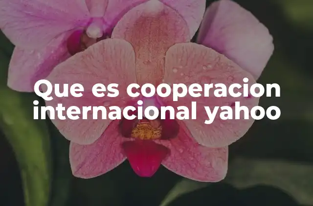 Que es Cooperacion Internacional Yahoo 2 Cómo se manifiesta la colaboración entre naciones