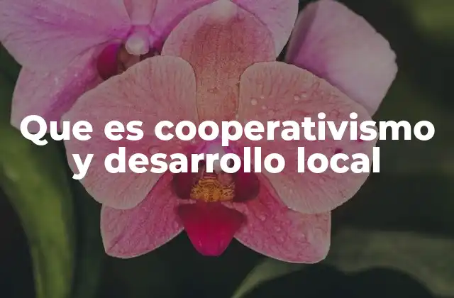 Que es Cooperativismo y Desarrollo Local 2 Cómo el cooperativismo impulsa el desarrollo local