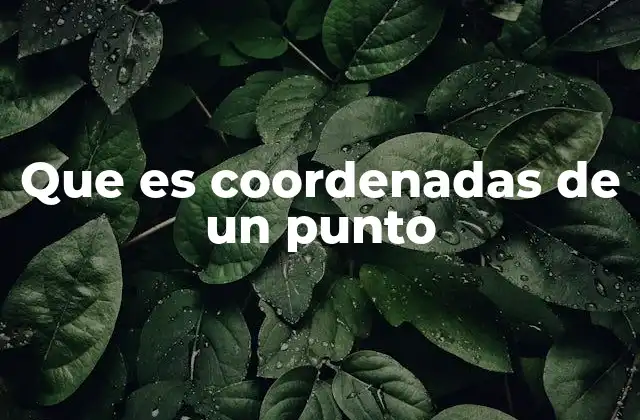Que es Coordenadas de un Punto