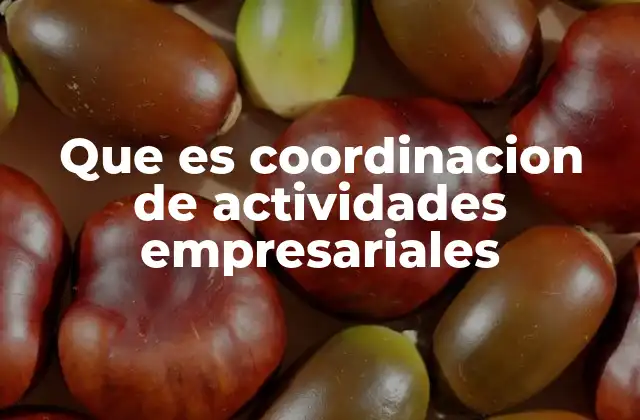 Que es Coordinacion de Actividades Empresariales