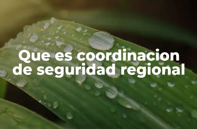 Que es Coordinacion de Seguridad Regional
