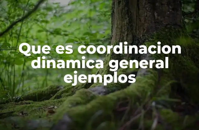 Que es Coordinacion Dinamica General Ejemplos