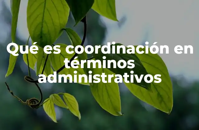 Qué es Coordinación en Términos Administrativos