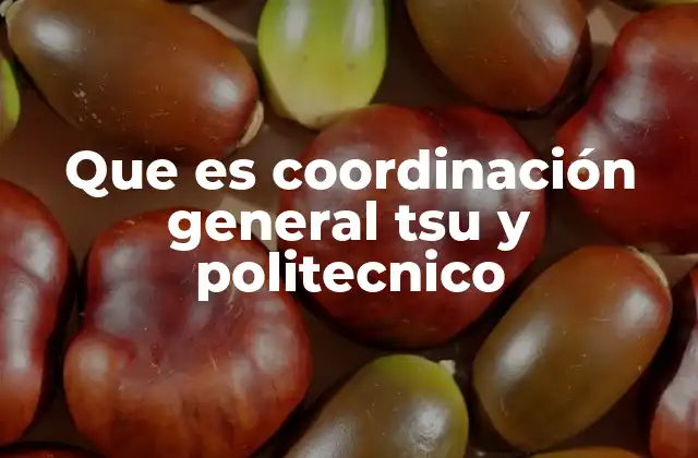 Que es Coordinación General Tsu y Politecnico 2 El papel de la coordinación general en la educación técnica