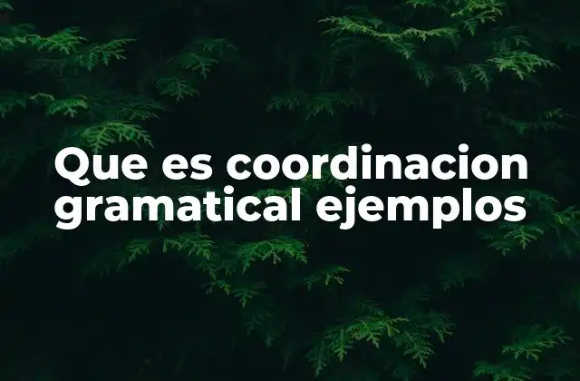 Que es Coordinacion Gramatical Ejemplos