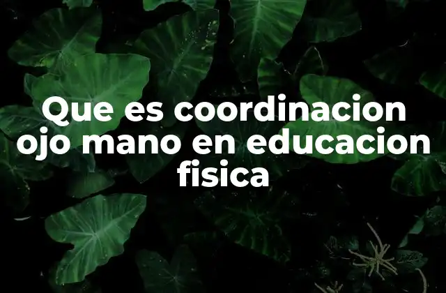 Que es Coordinacion Ojo Mano en Educacion Fisica