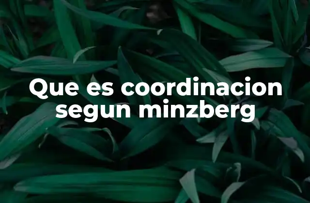 Que es Coordinacion Segun Minzberg