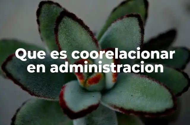 Que es Coorelacionar en Administracion