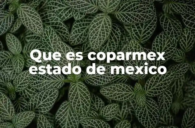 Que es Coparmex Estado de Mexico 2 El papel del Coparmex en la economía regional