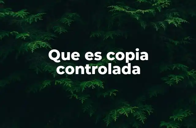 Que es Copia Controlada