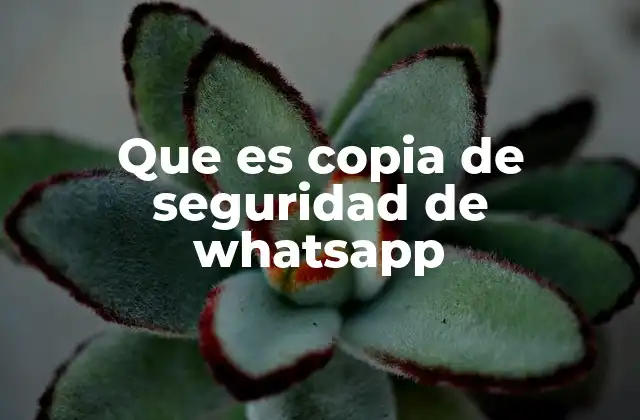 Que es Copia de Seguridad de Whatsapp