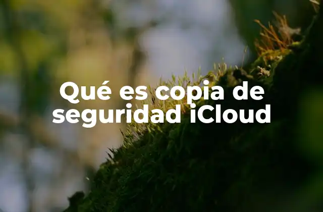 Qué es Copia de Seguridad Icloud