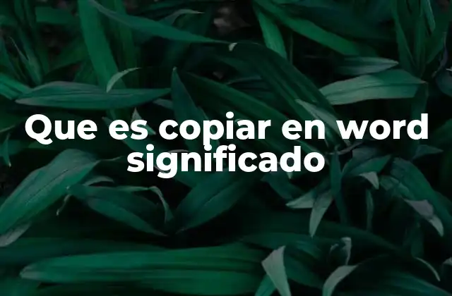 Que es Copiar en Word Significado