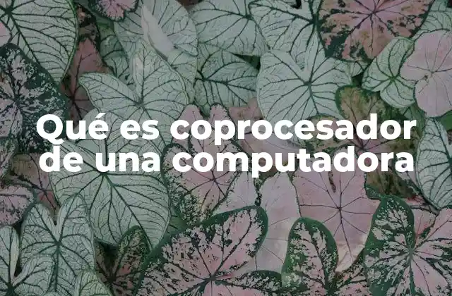 Qué es Coprocesador de una Computadora 2 Funcionamiento del coprocesador en el sistema informático