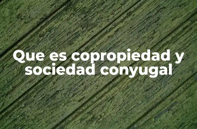 Que es Copropiedad y Sociedad Conyugal