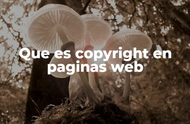 Que es Copyright en Paginas Web